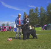 Превью фото № 236758