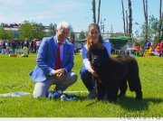 Превью фото № 236759