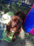 Превью фото № 236811