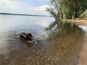 Превью фото № 236861