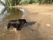 Превью фото № 236864