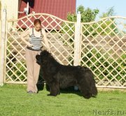 Превью фото № 236865