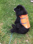 Превью фото № 236878