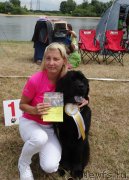 Превью фото № 236885