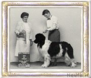 Превью фото № 236891