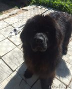 Превью фото № 236919