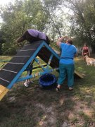 Превью фото № 236924