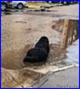 Превью фото № 236928