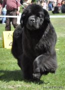 Превью фото № 236945