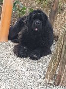 Превью фото № 236954