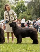 Превью фото № 237004