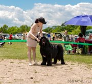 Превью фото № 237007
