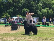 Превью фото № 237008