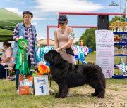 Превью фото № 237011