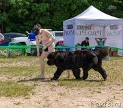 Превью фото № 237012