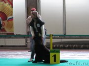 Превью фото № 237022