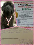 Превью фото № 237023