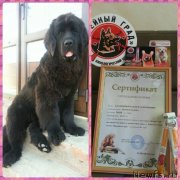 Превью фото № 237024