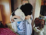 Превью фото № 237039