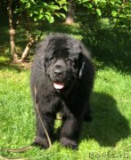 Превью фото № 237079