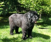 Превью фото № 237080