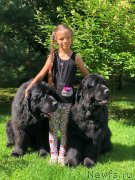 Превью фото № 237083