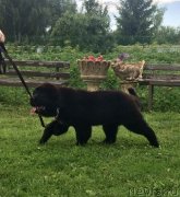 Превью фото № 237118