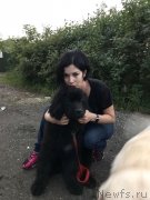 Превью фото № 237130