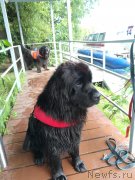 Превью фото № 237154