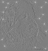 Превью фото № 237166