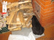 Превью фото № 237199