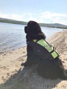 Превью фото № 237235