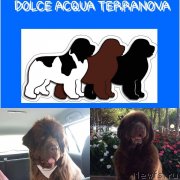 Превью фото № 237248