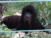 Превью фото № 237253