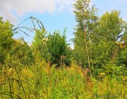 Превью фото № 237264