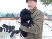 Превью фото № 237275