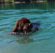 Превью фото № 237292