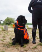 Превью фото № 237319