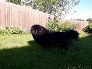 Превью фото № 237327