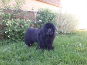 Превью фото № 237328