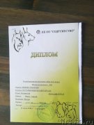 Превью фото № 237345