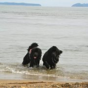 Превью фото № 237358