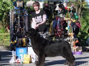 Превью фото № 237371