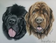 Превью фото № 237377