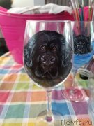 Превью фото № 237383