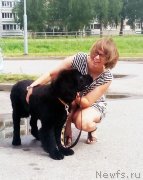 Превью фото № 237476