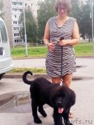 Превью фото № 237477