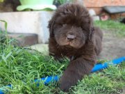 Превью фото № 237487