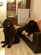 Превью фото № 237527