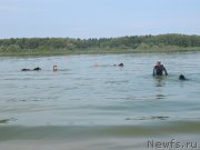 Превью фото № 237554